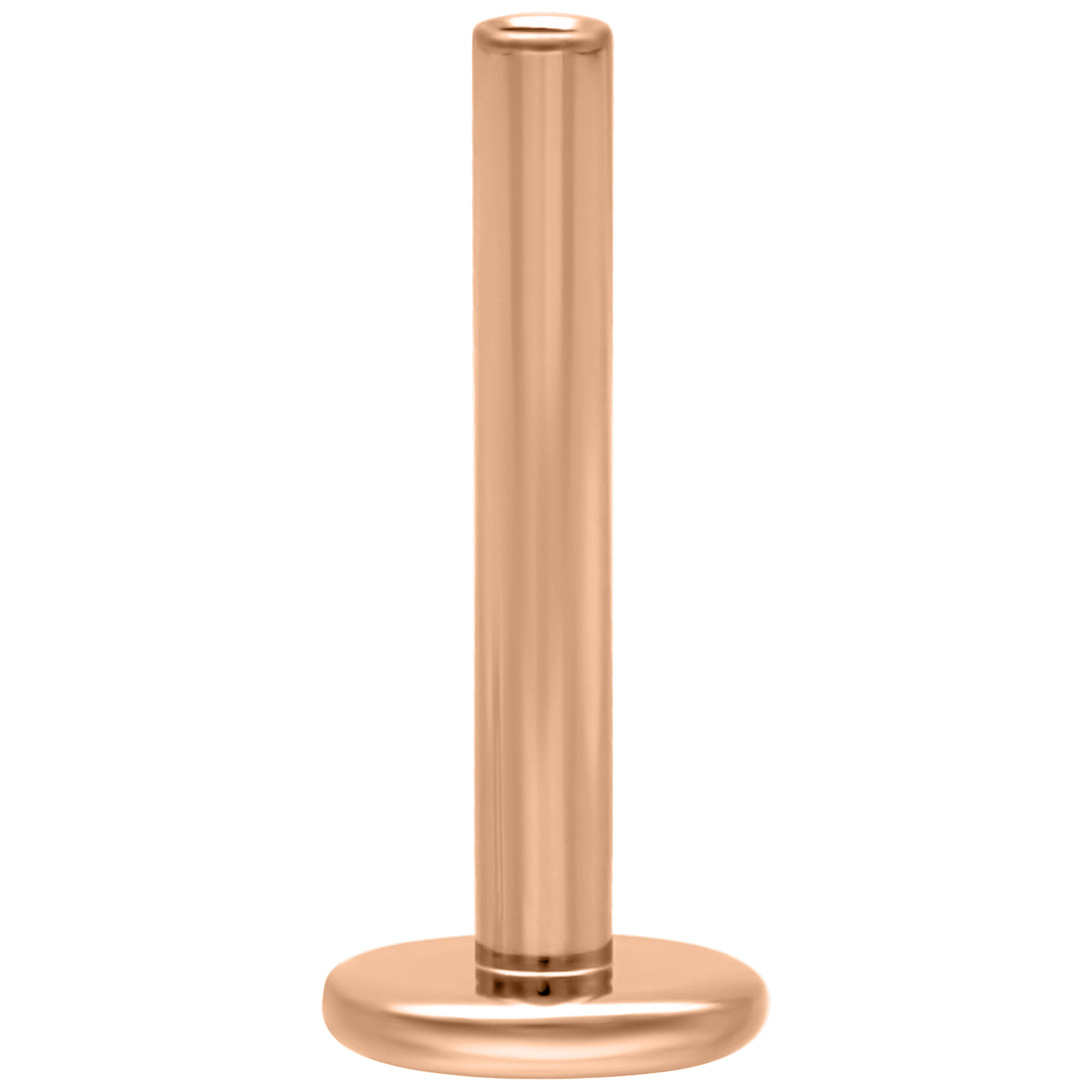 Roségoldenes Titan Push Fit Labret, 1,2 mm Stärke, 8,0 mm Länge auf weißem Hintergrund