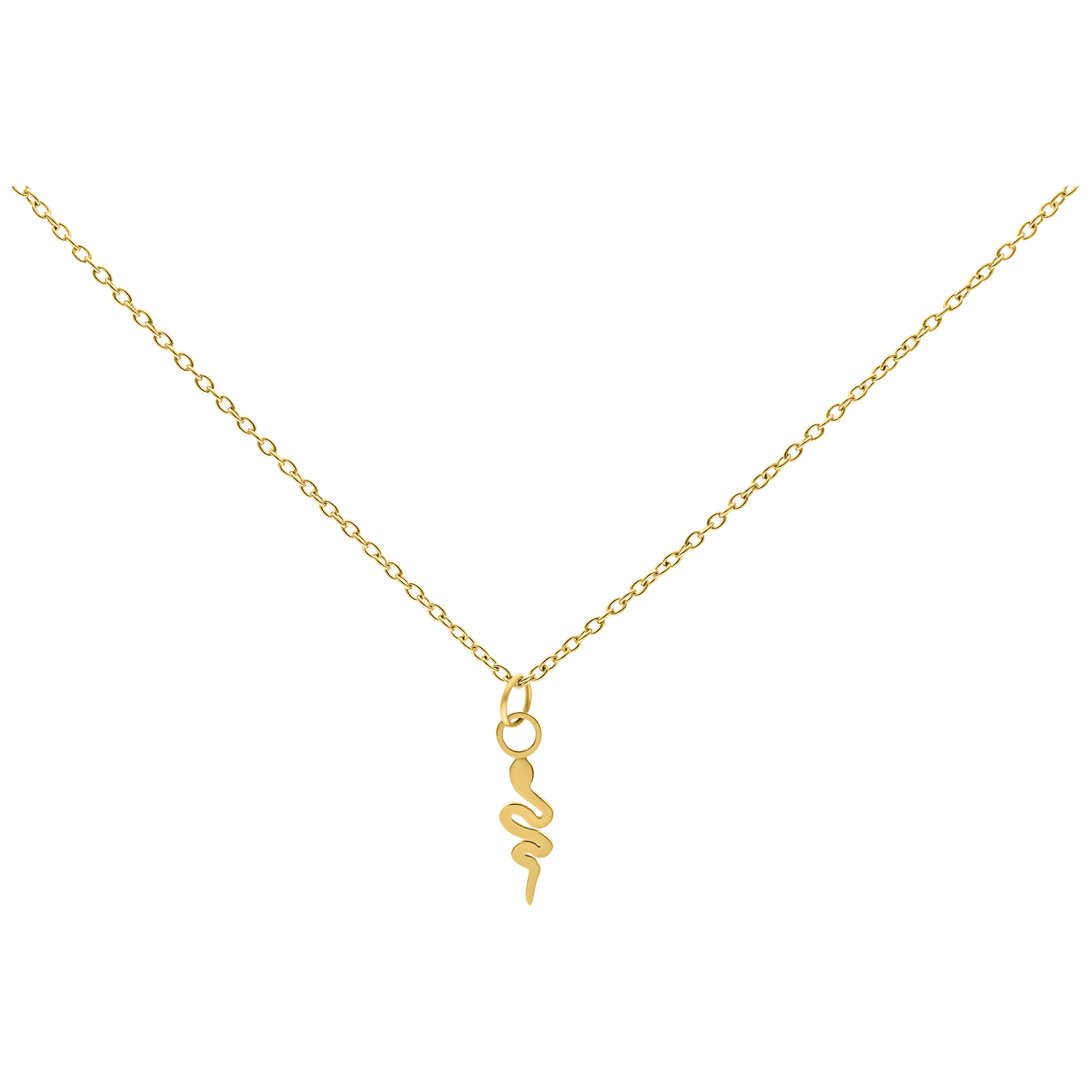 Goldene Kette mit Schlangenanhänger auf weißem Hintergrund