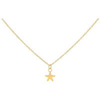 Little Starfish Kette in Gold, 50 cm Goldene Kette mit kleinem Seestern-Anhänger, Studiohintergrund