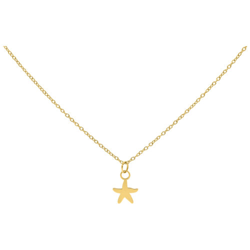 Goldene Kette mit kleinem Seestern-Anhänger, Studiohintergrund