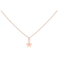 Wildcat Little Starfish Kette Roségold Roségoldene Kette mit einem kleinen Seestern-Anhänger auf weißem Hintergrund