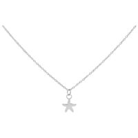 Silberne Little Starfish Kette aus Stahl Silberne Kette mit kleinem Seestern-Anhänger auf weißem Hintergrund