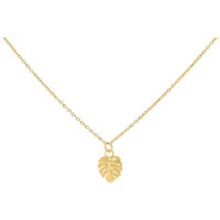 Goldene Monstera Leaf Kette 50 cm Goldene Monstera Leaf Kette aus Chirurgenstahl auf weißem Hintergrund