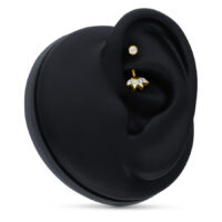 18K Gold Kristall Lily Microbananabell Goldenes Microbananabell mit Kristall-Lily in schwarzem Ohrmodell