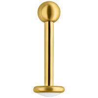 Goldenes Titan-Labret mit Außengewinde Goldenes Labret-Piercing aus Titan auf weißem Hintergrund