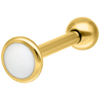 Goldenes Titan Labret mit weißer Platte Goldenes Labret aus Titan mit weißer Platte auf weißem Hintergrund