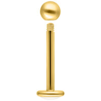 Goldenes Titan Labret mit Außengewinde Goldenes Labret aus Titan mit Außengewinde auf weißem Hintergrund