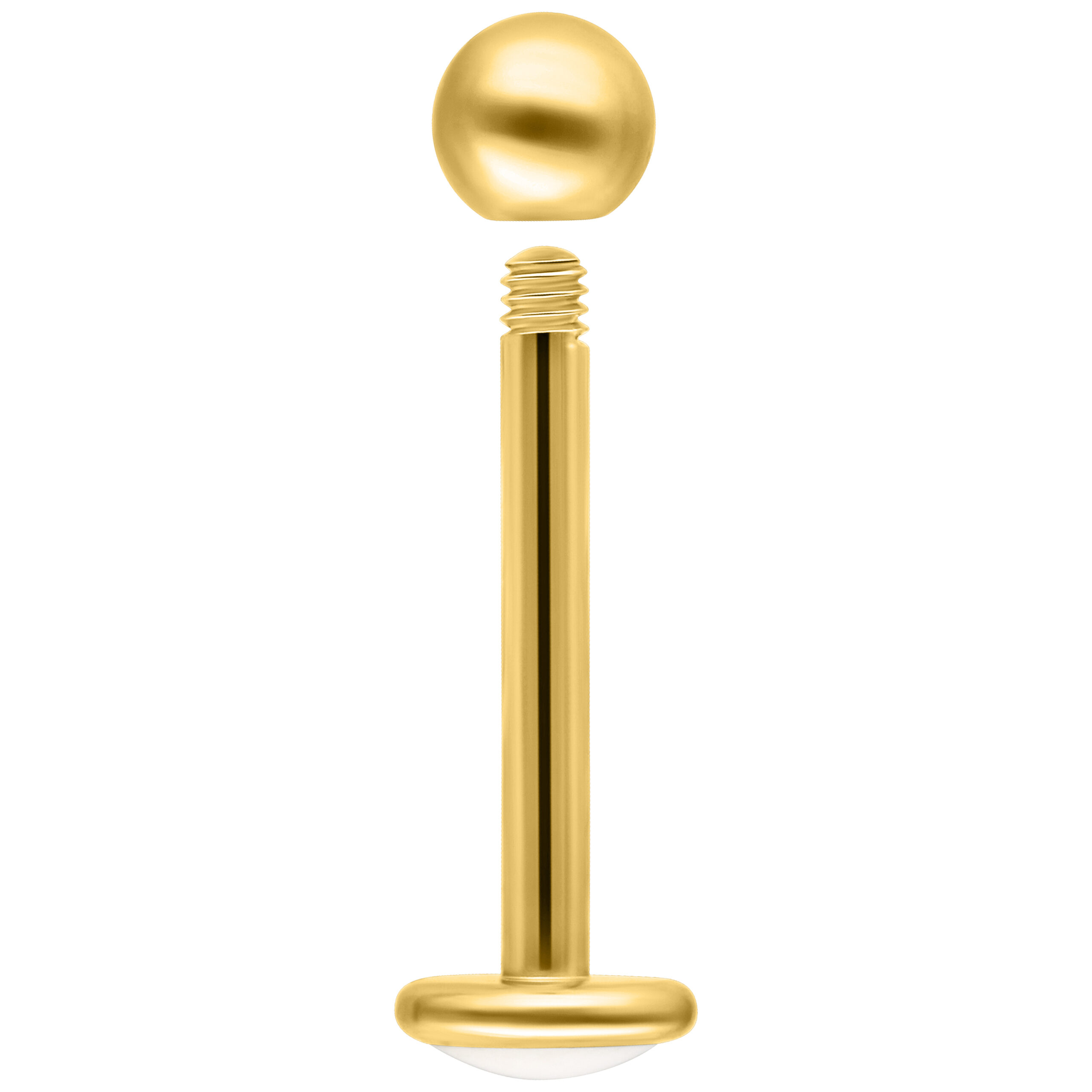 Goldenes Titan Labret mit Außengewinde Goldenes Labret aus Titan mit Außengewinde auf weißem Hintergrund
