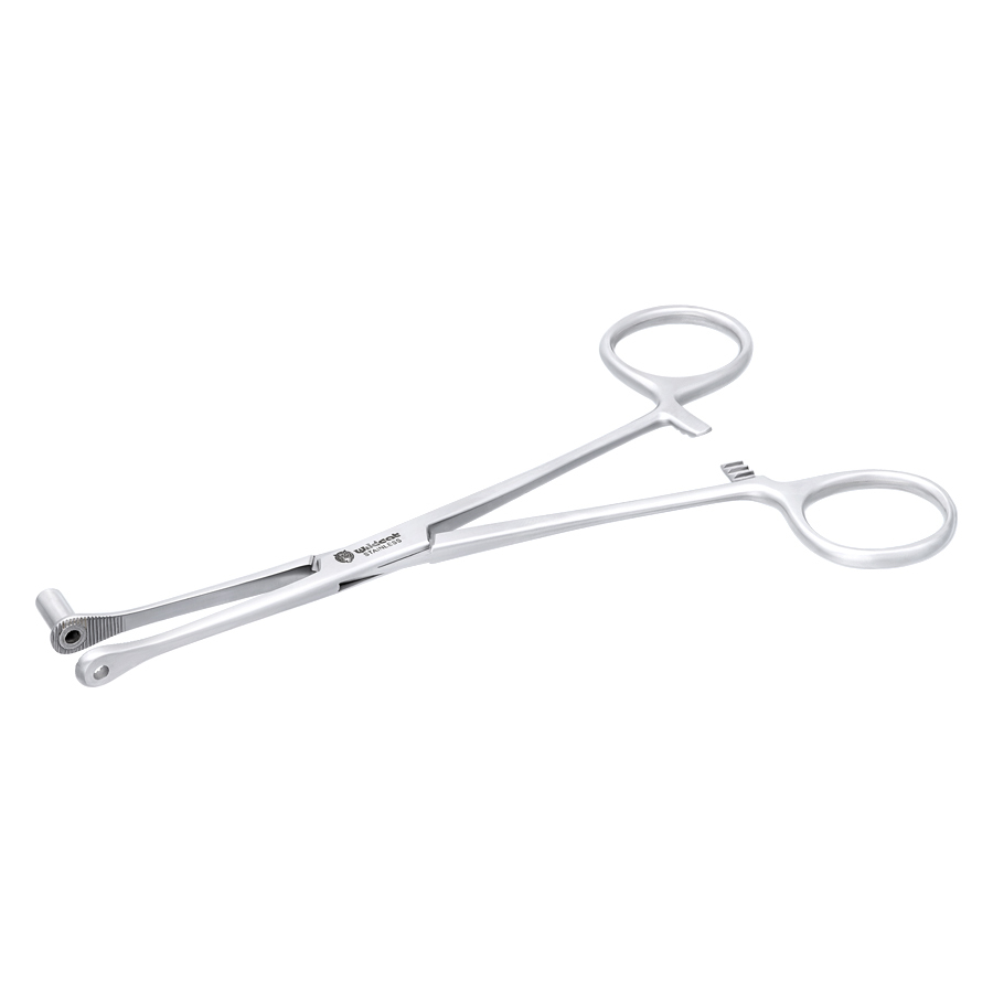 Septum Close End Piercing Werkzeug Silbernes Septum Close End Werkzeug auf weißem Hintergrund