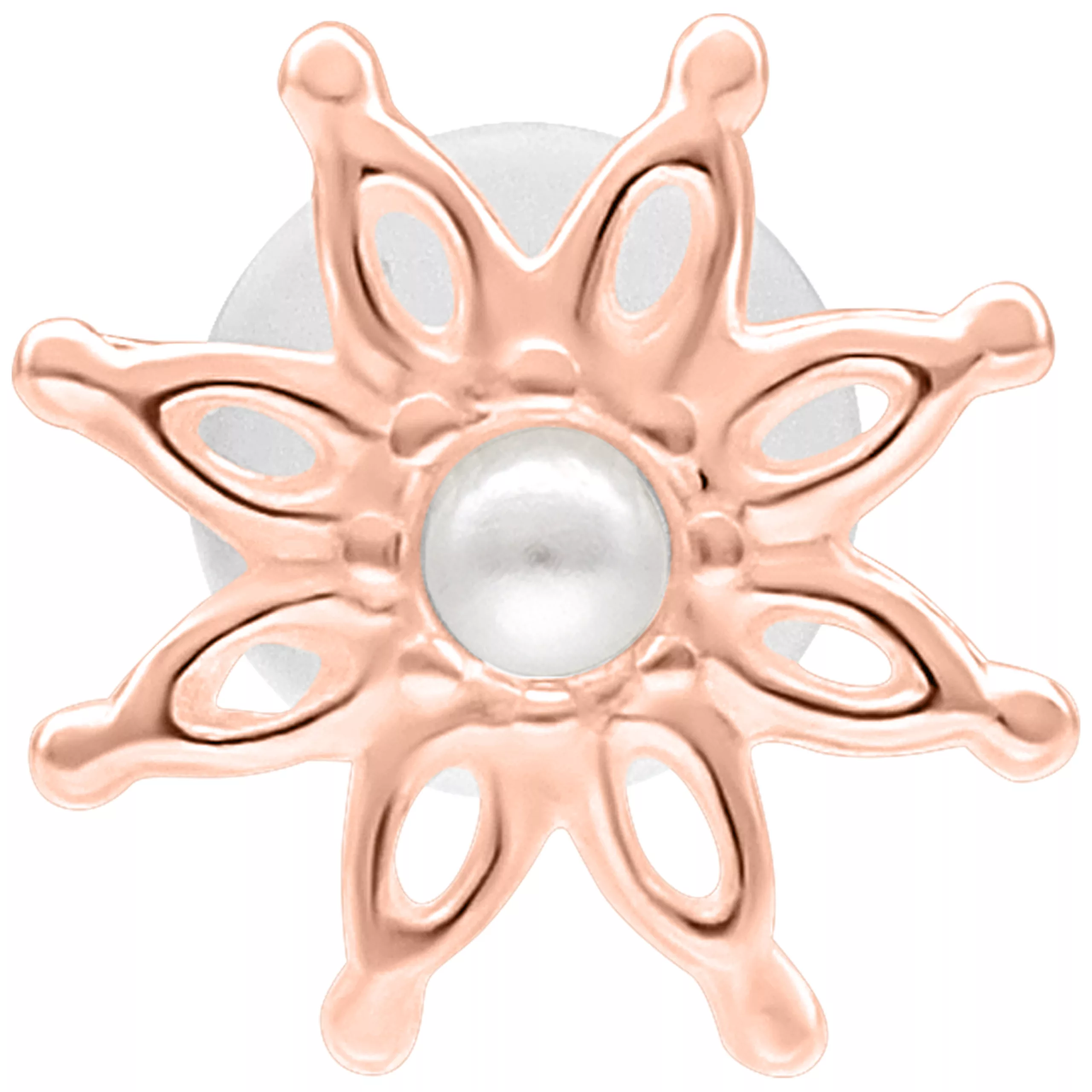 Roségoldenes Bloom Push Fit Labret mit 5 mm Plattengröße auf weißem Hintergrund