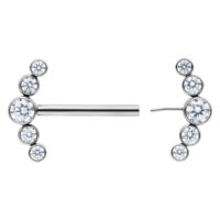 Penta Crystal Barbell in Silber 14mm Silberner Penta Crystal Barbell mit klaren Kristallen, Länge 14mm