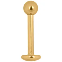 Goldenes Titan Labret Stud Piercing 1,2 mm Goldenes Labret Stud Piercing aus Titan mit Außengewinde auf weißem Hintergrund