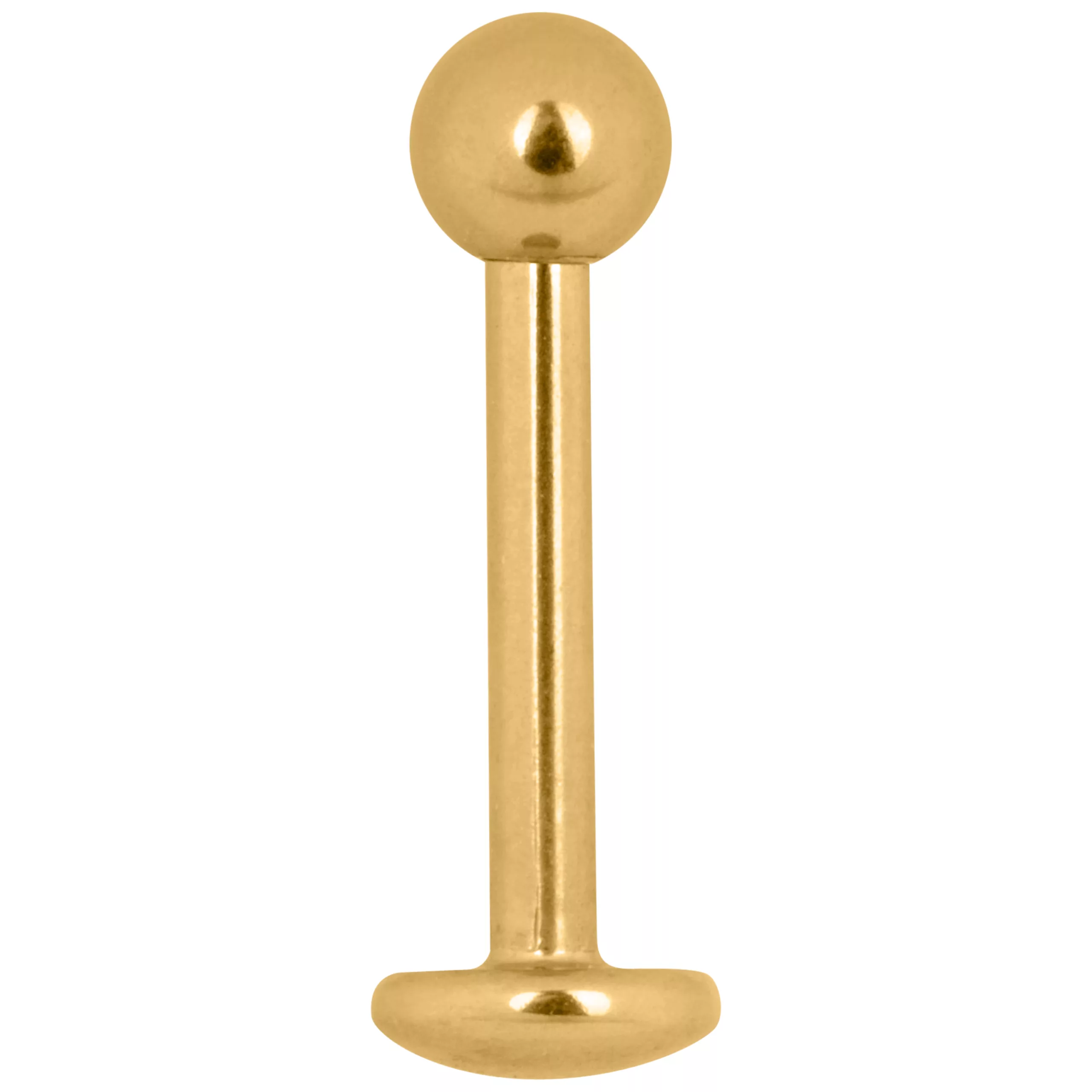 Goldenes Titan Labret Stud Piercing 1,2 mm Goldenes Labret Stud Piercing aus Titan mit Außengewinde auf weißem Hintergrund