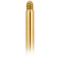 Goldenes Titan Labret mit Außengewinde Goldenes Labret aus Titan mit Außengewinde auf weißem Hintergrund