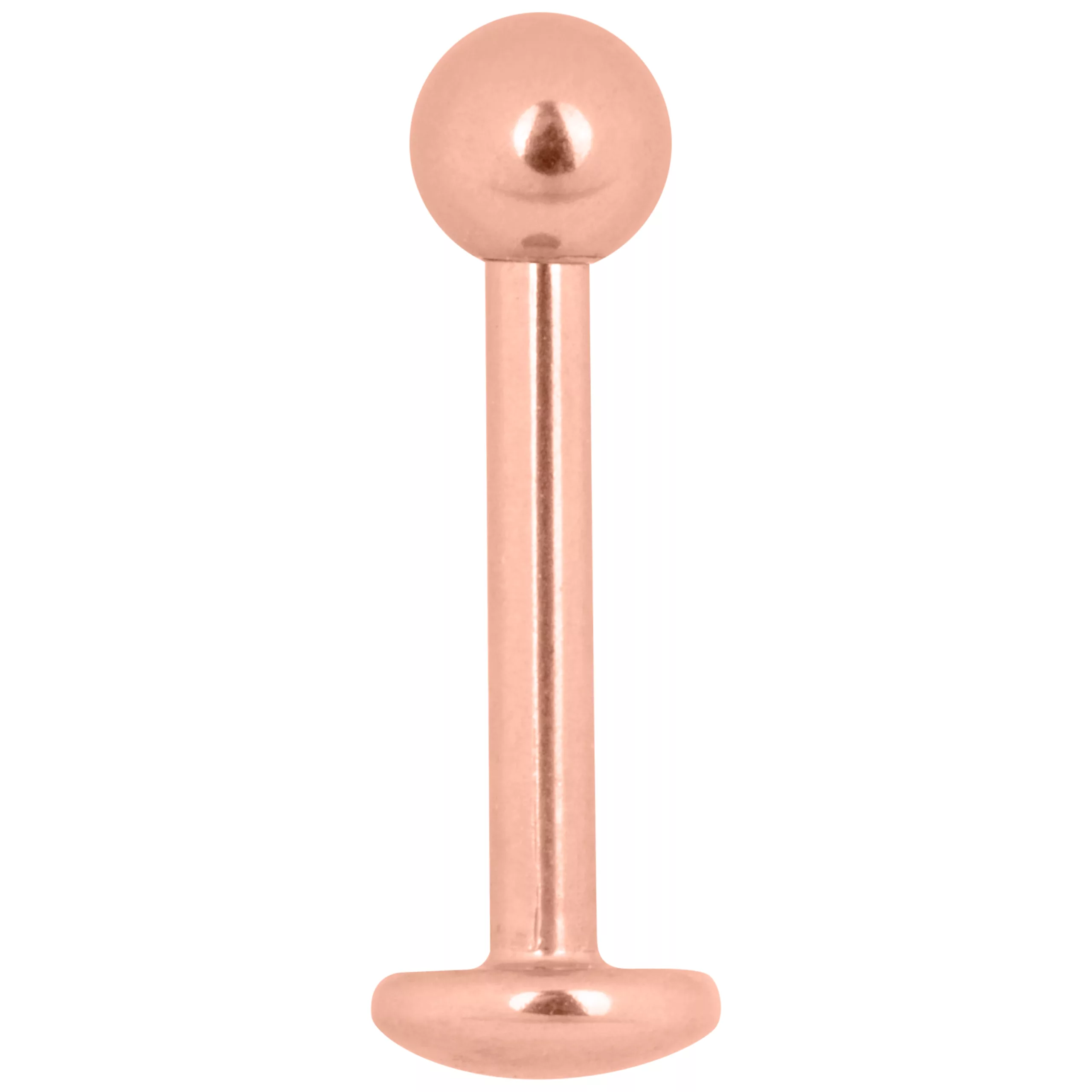 Roségoldenes Labret Piercing, 1,2 mm Stärke, 6,0 mm Länge auf weißem Hintergrund