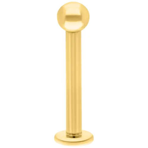 Goldenes Titan Labret mit Innengewinde auf weißem Hintergrund, 8mm Länge