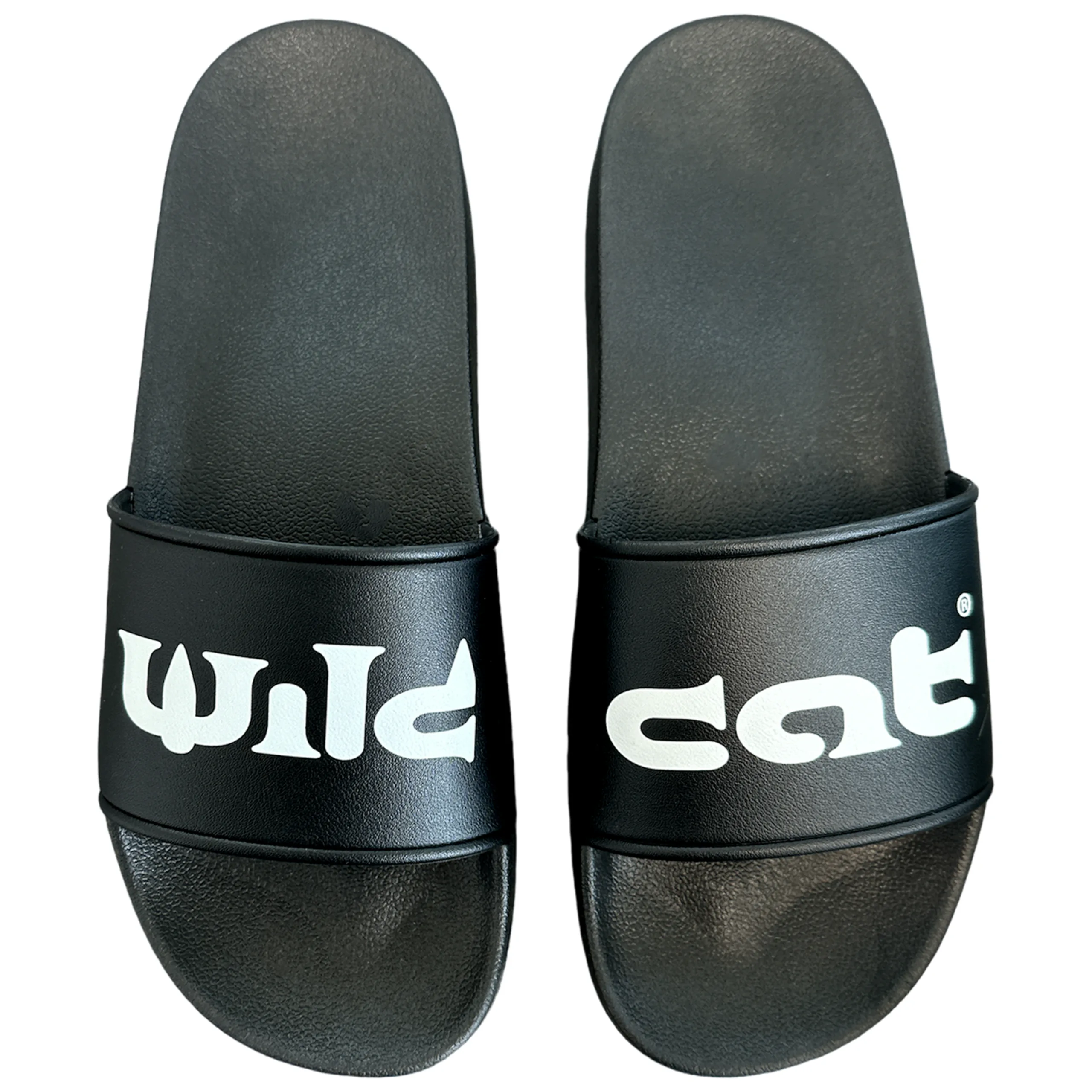Schwarze Wildcat Slides mit Logo Schwarze Wildcat Sandalen aus PVC mit weißem Logo auf weißem Hintergrund
