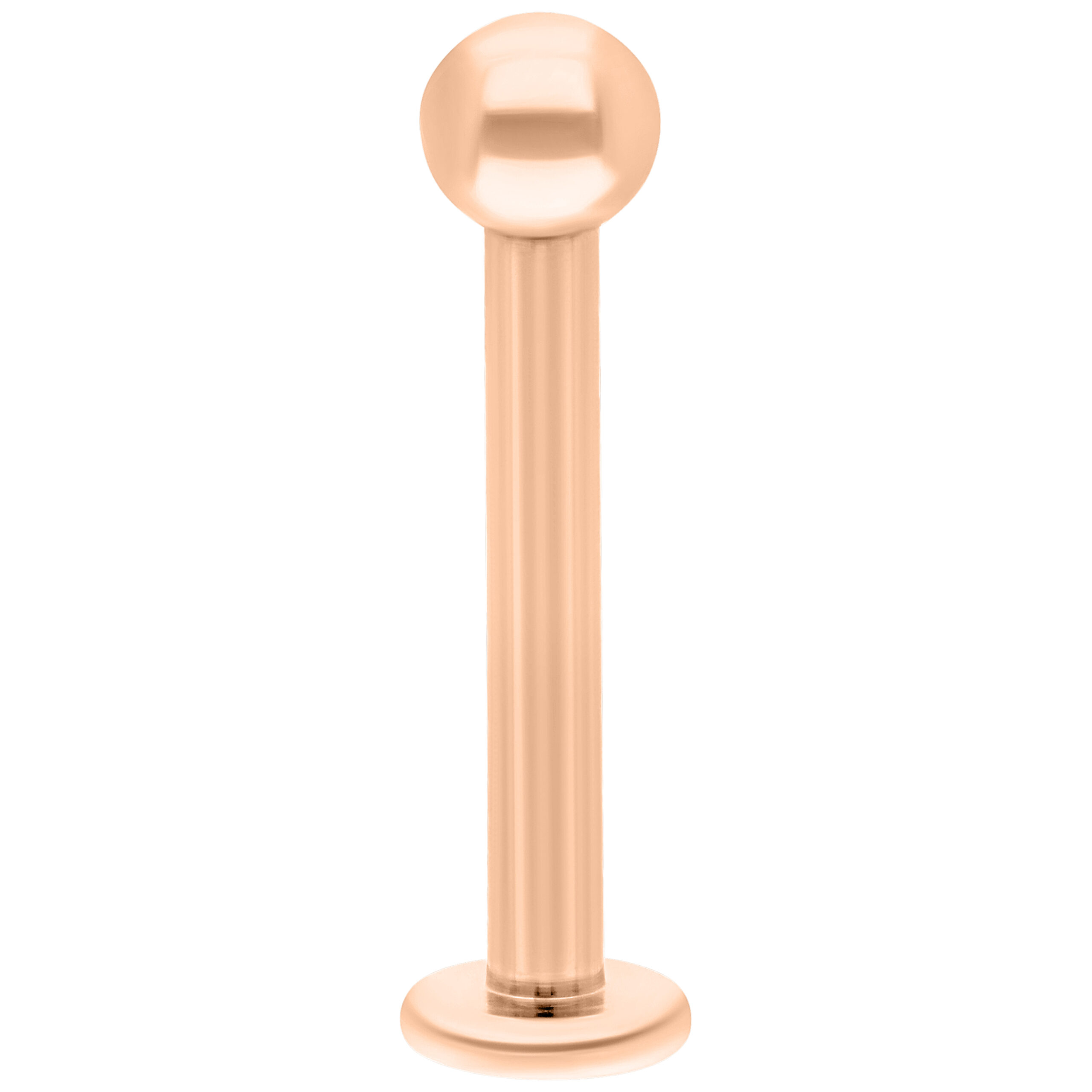 Roségold Titan Labret mit 7 mm Länge und 2,5 mm Kugel auf weißem Hintergrund