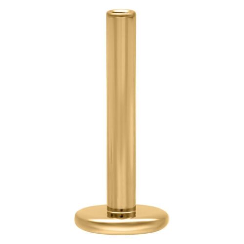 Goldenes Titan Labret Stem mit Innengewinde, 1,2 mm Stärke, 5 mm Länge auf weißem Hintergrund
