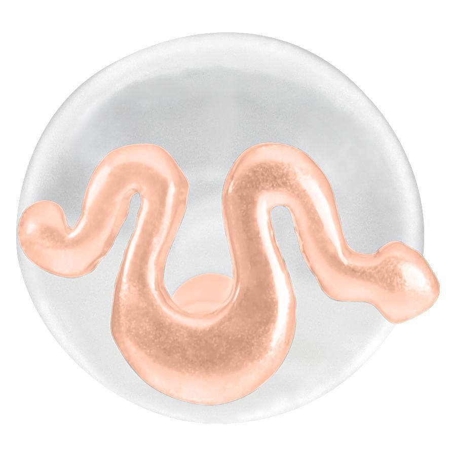 Roségoldenes Snake Labret auf weißem Hintergrund