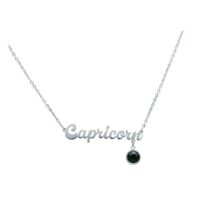 Silberne Kette mit Capricorn-Schriftzug und schwarzem Anhänger auf weißem Hintergrund
