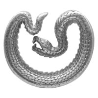 Ear Saddles Snake Ear Saddles Snake