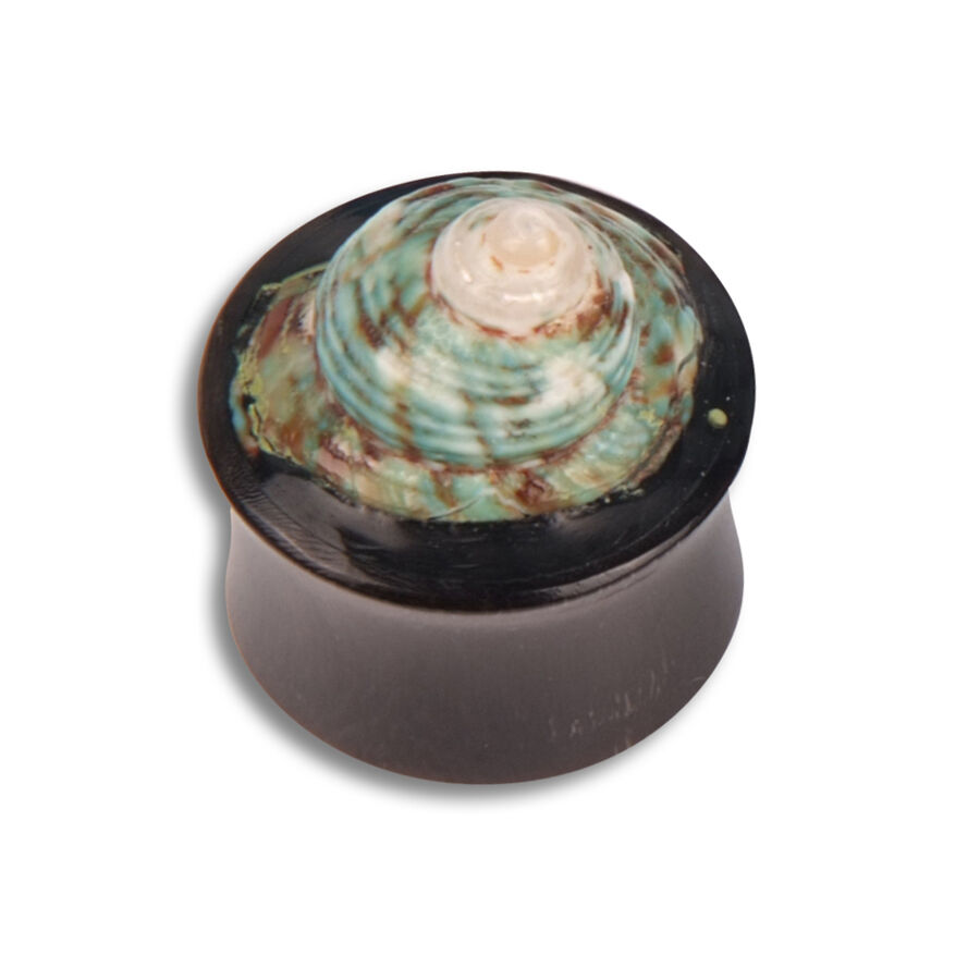 Plug aus Büffelhorn mit grünem Muscheldesign, runder Form