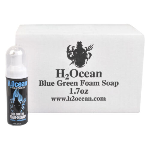 Blue Green Foam Soap Box/24