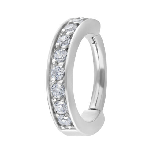 Hinged Ring<!--5db69b9e0cc65-->