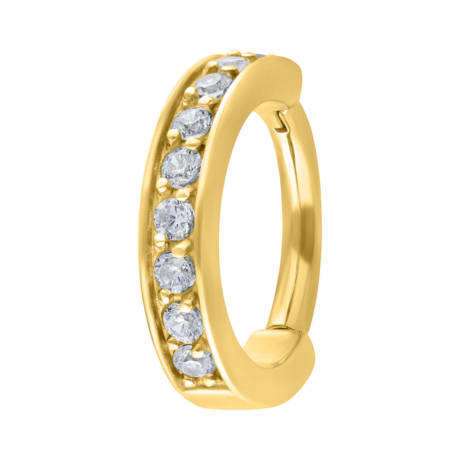 Hinged Ring<!--5db69b9e0cc65-->