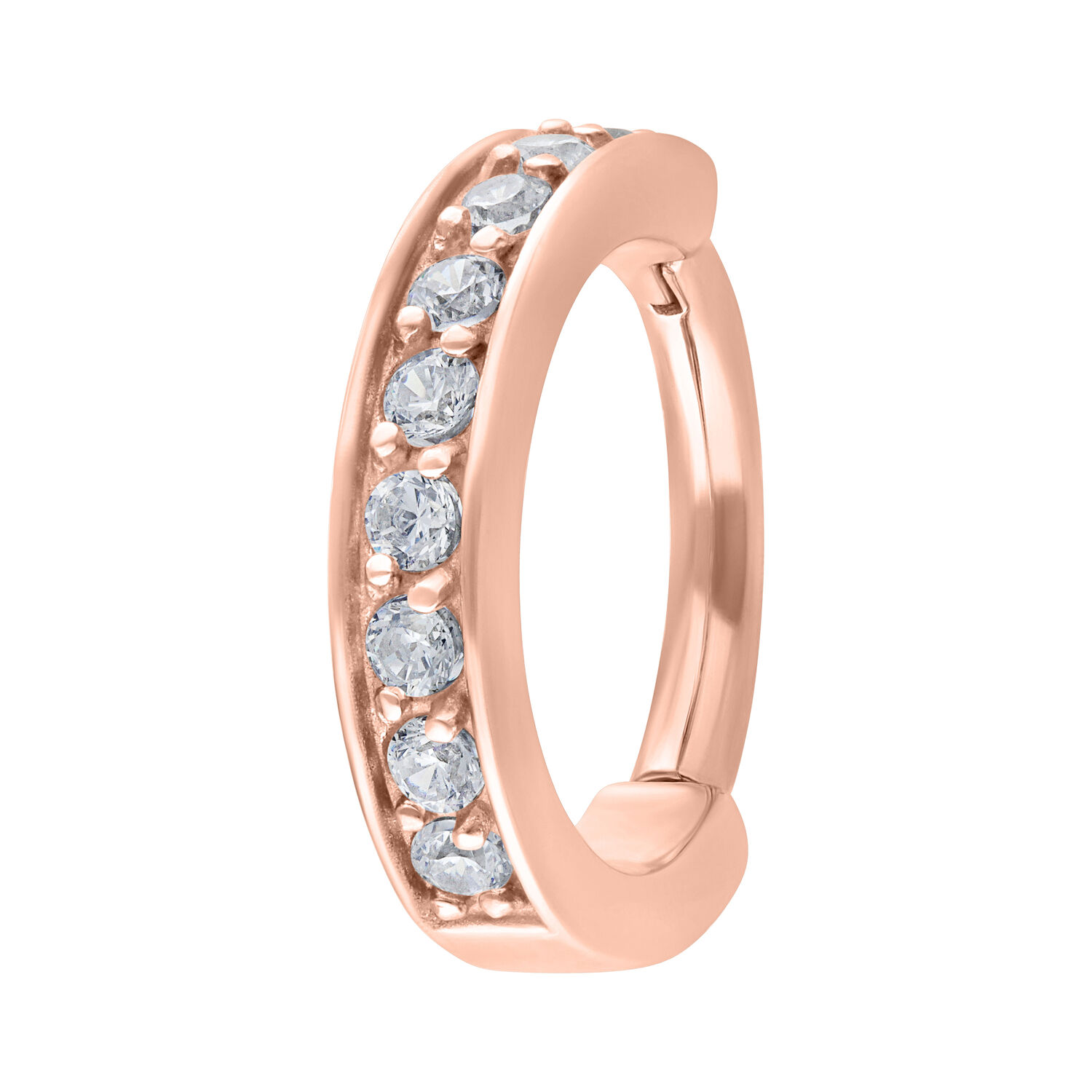 Hinged Ring<!--5db69b9e0cc65-->