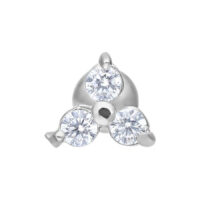 Trinity Earbarbell