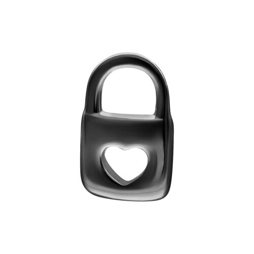 Push Fit Lock Attachment for Bioplast - Black Metal