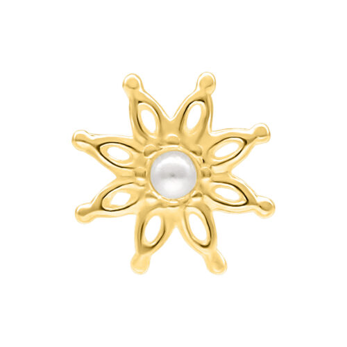 Push Fit Bloom Attachment for Bioplast - Golden Metal