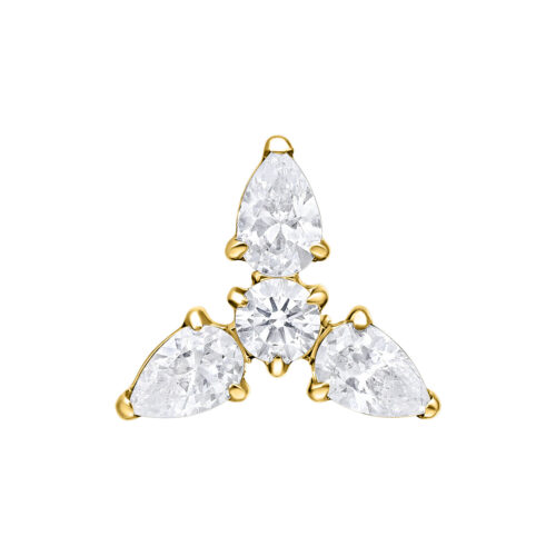 Push Fit Trinity Attachment - Golden Metal