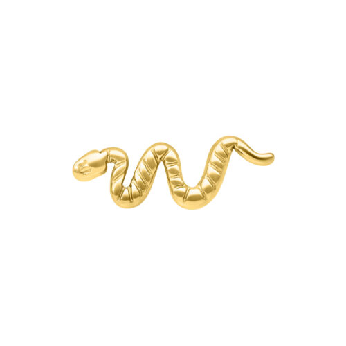 Push Fit Snake Attachment - Golden Metal