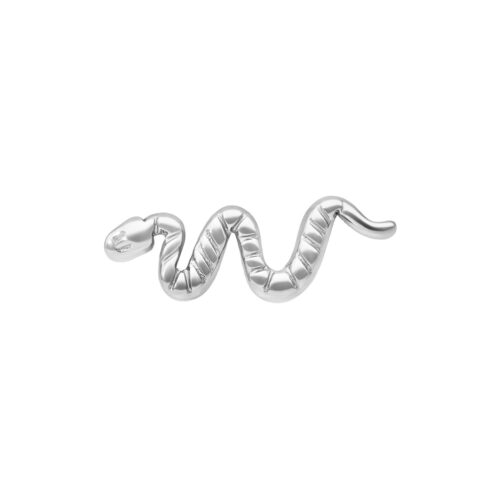 Push Fit Snake Attachment