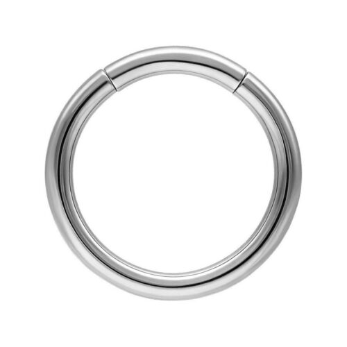 Basic Segmentring<!--63dcd0fe0740e-->