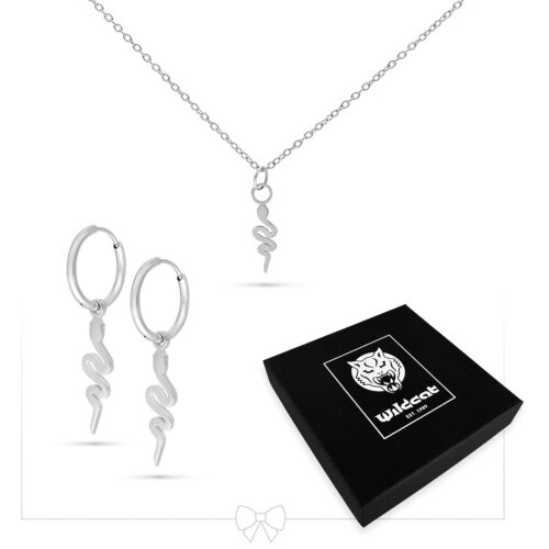 Little Snake Necklace with Hoops Set
